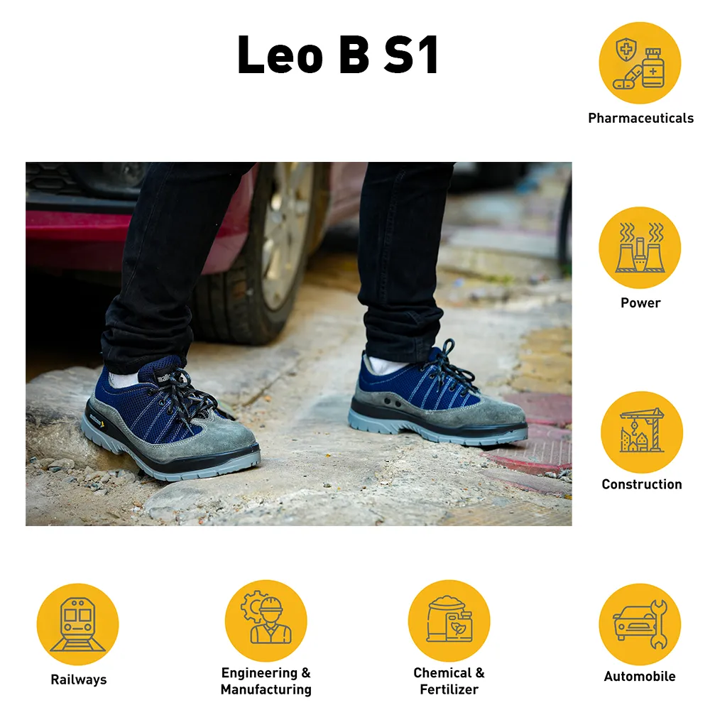 LEO B, photo 7