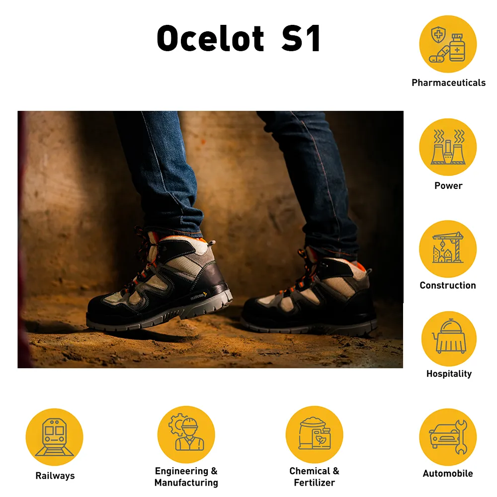 OCELOT, photo 7